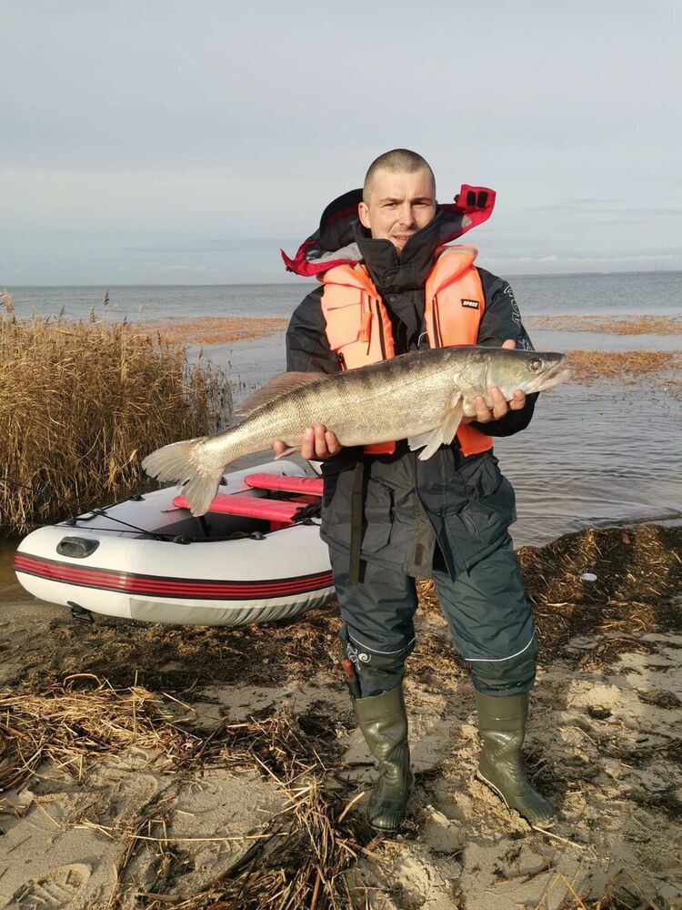 ���������� �����������, ���� ������� �������, 45 ���, ������������ 