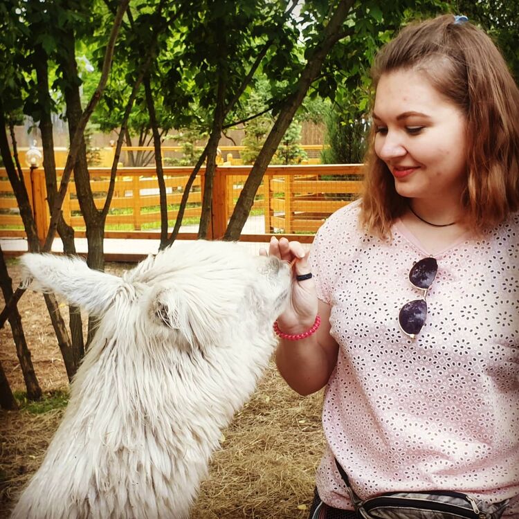 ���� 40278469 ������� ���������, 25 ���, ���� ���������� � ������