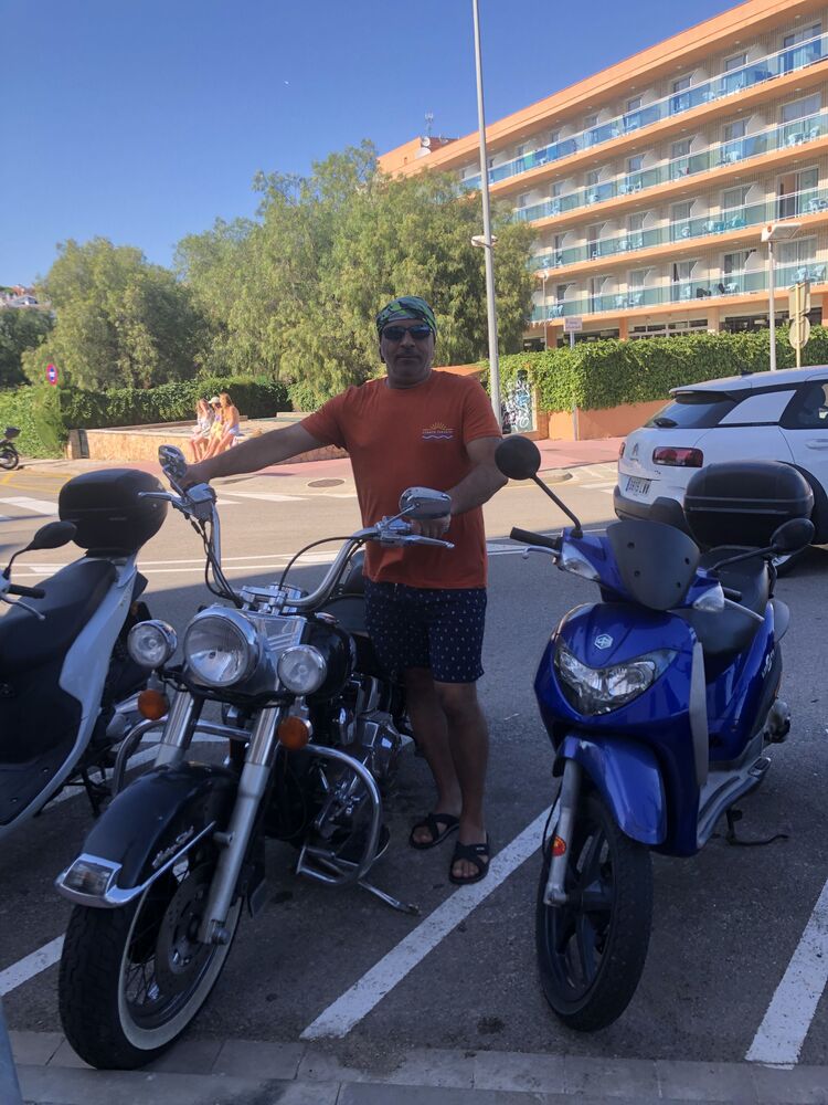 ���� 56298749 ������� ����, 49 ���, ���� ���������� � 's-Gravendeel