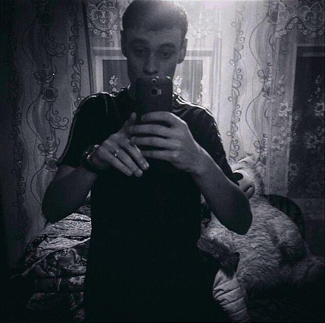  47568559  , 24 ,    