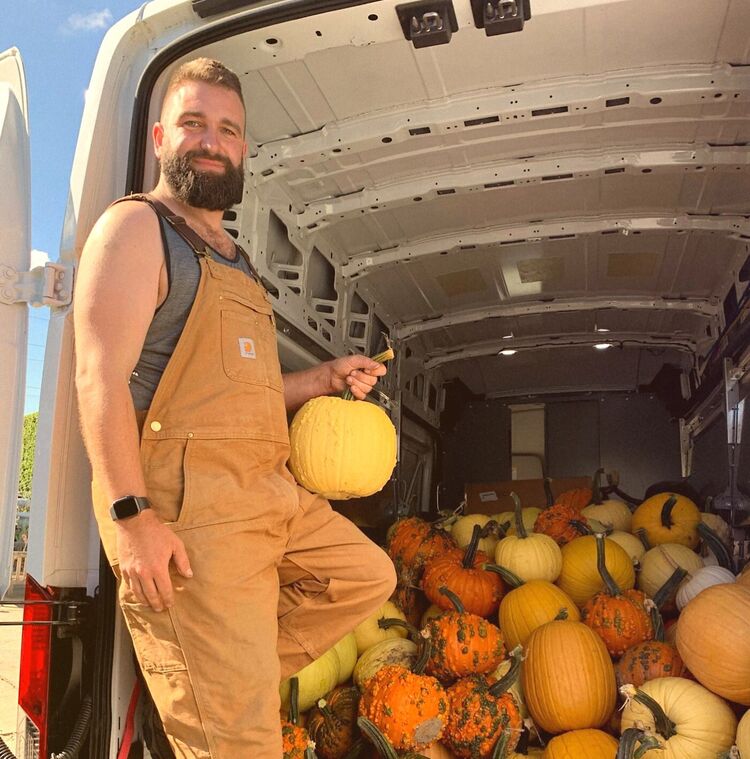 ���� 55042759 ������� ������, 38 ���, ���� ���������� � ����������