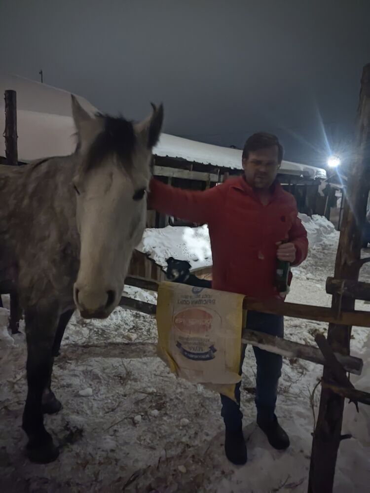  43767059  Andrey, 38 ,    