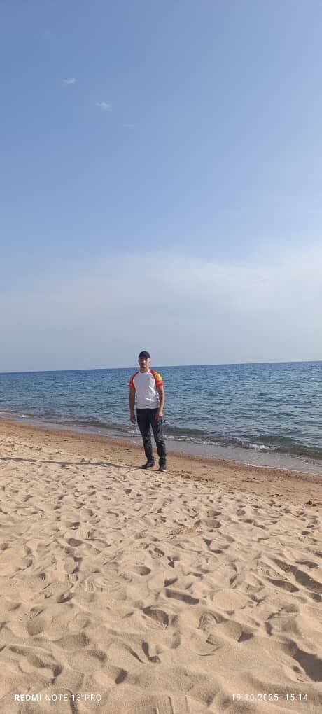  54334229  , 30 ,    -