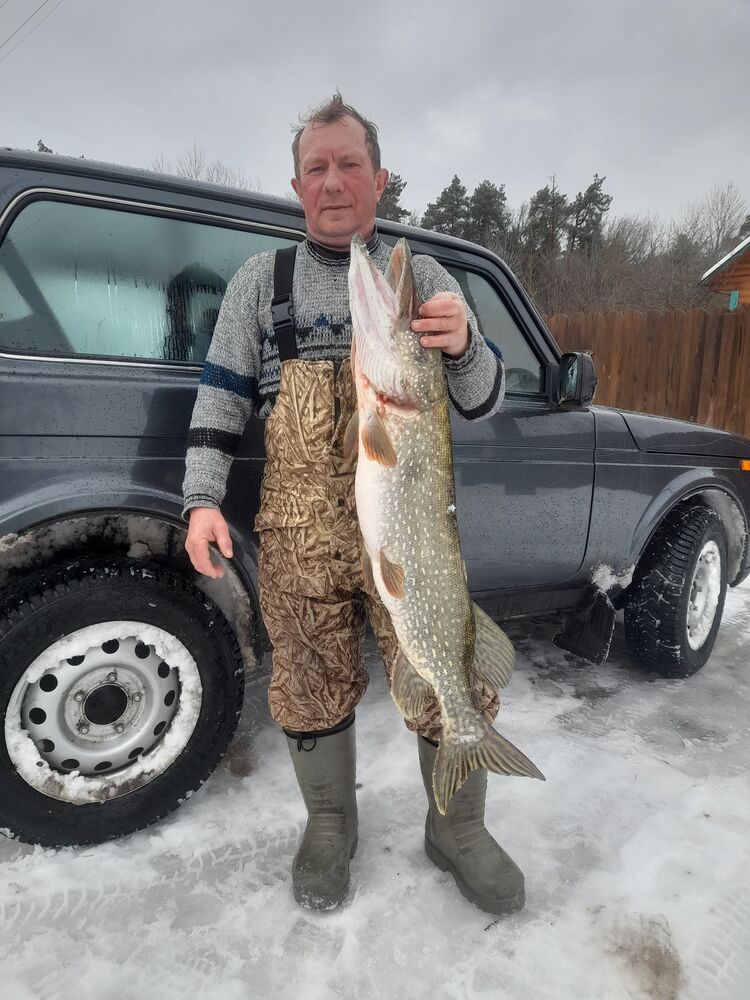 ���� 55312059 ������� ������, 63 ����, ���� ���������� � ����������