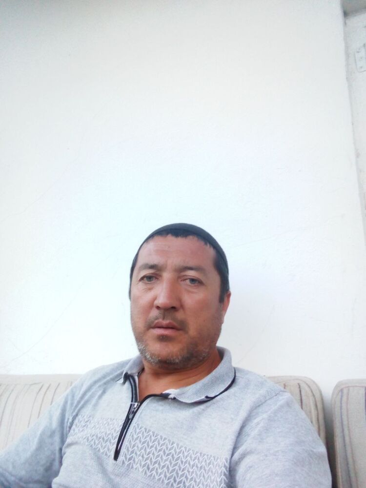  43554619  , 50 ,    