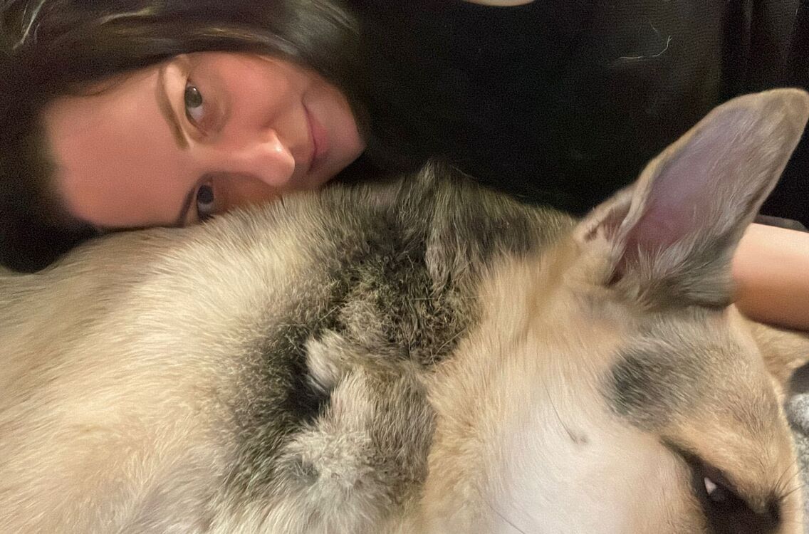 ���������� ������, ���� ������� ������, 43 ����, ������������ ��� ������, ����� � ���������