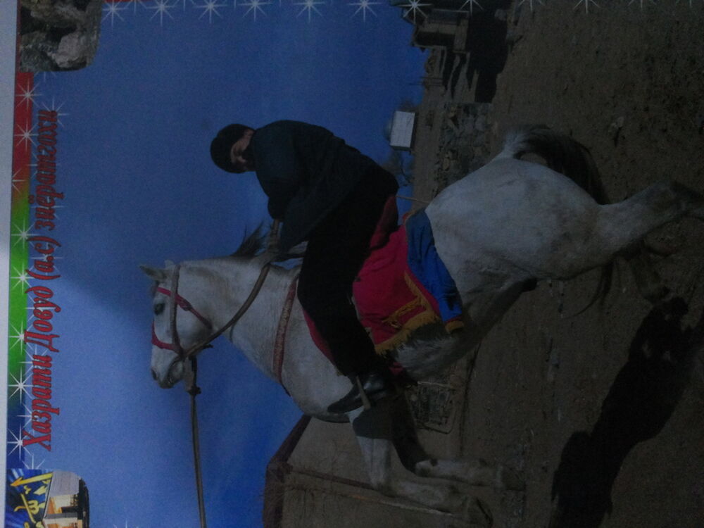 ���������� �������, ���� ������� ����, 49 ���, ������������ ��� ������