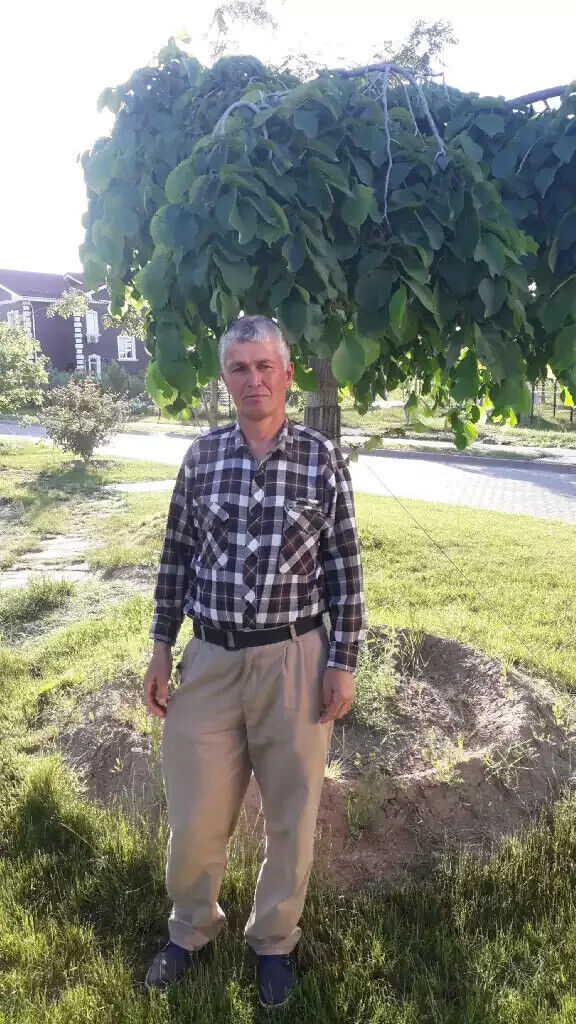 ���������� ������, ���� ������� ����������, 50 ���, ������������ ��� ������, ����� � ���������