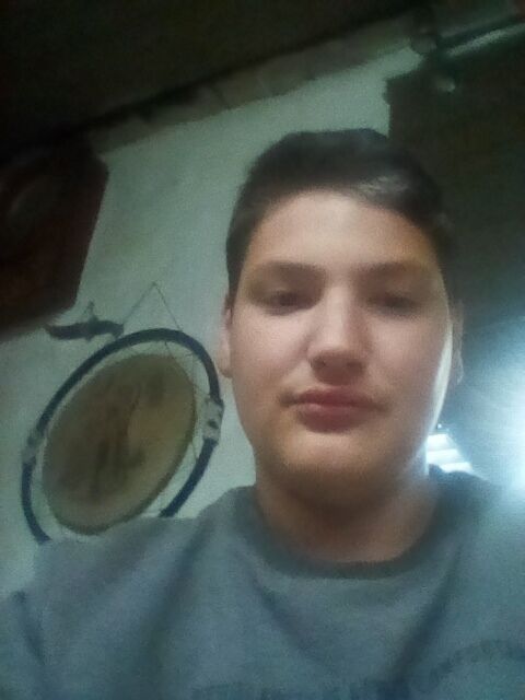  49139119  Dimasik, 19 ,    