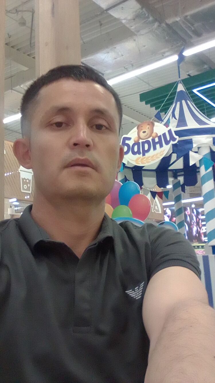  43139279  , 38 ,    