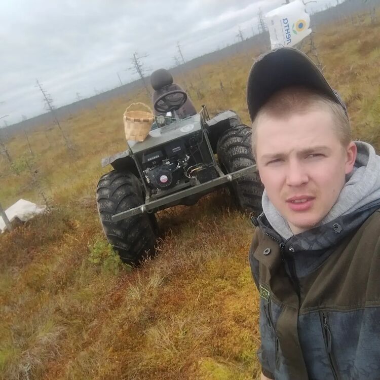 ���� 31953629 ������� ����, 32 ����, ���� ���������� � �������