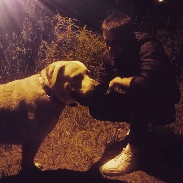 ���������� �����, ���� ������� ������, 29 ���, ������������ ��� ������, ����� � ���������, c�������� ���������, ���������