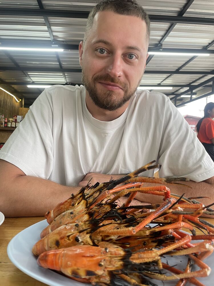 ���� 31397179 ������� ��������, 36 ���, ���� ���������� � ������