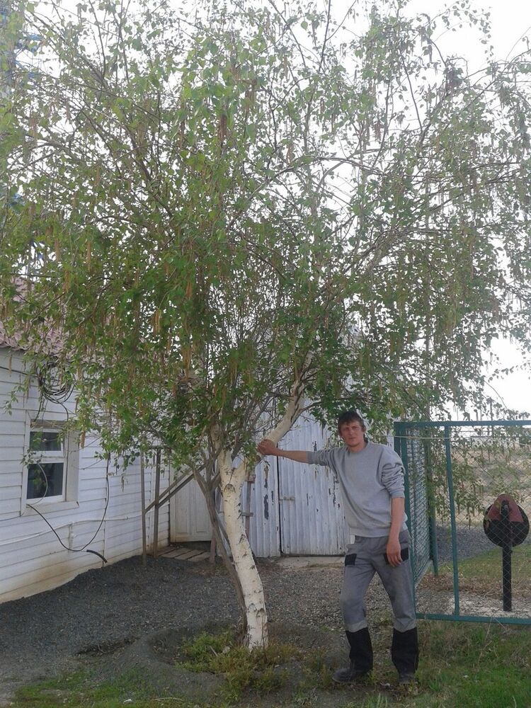 ���������� ���������, ���� ������� ���������, 40 ���, ������������ ��� ������, ����� � ���������, c�������� ���������, ���������