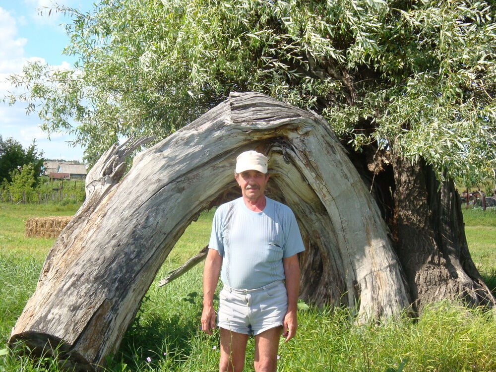 ���������� ��������, ���� ������� ����, 71 ���, ������������ ��� ������