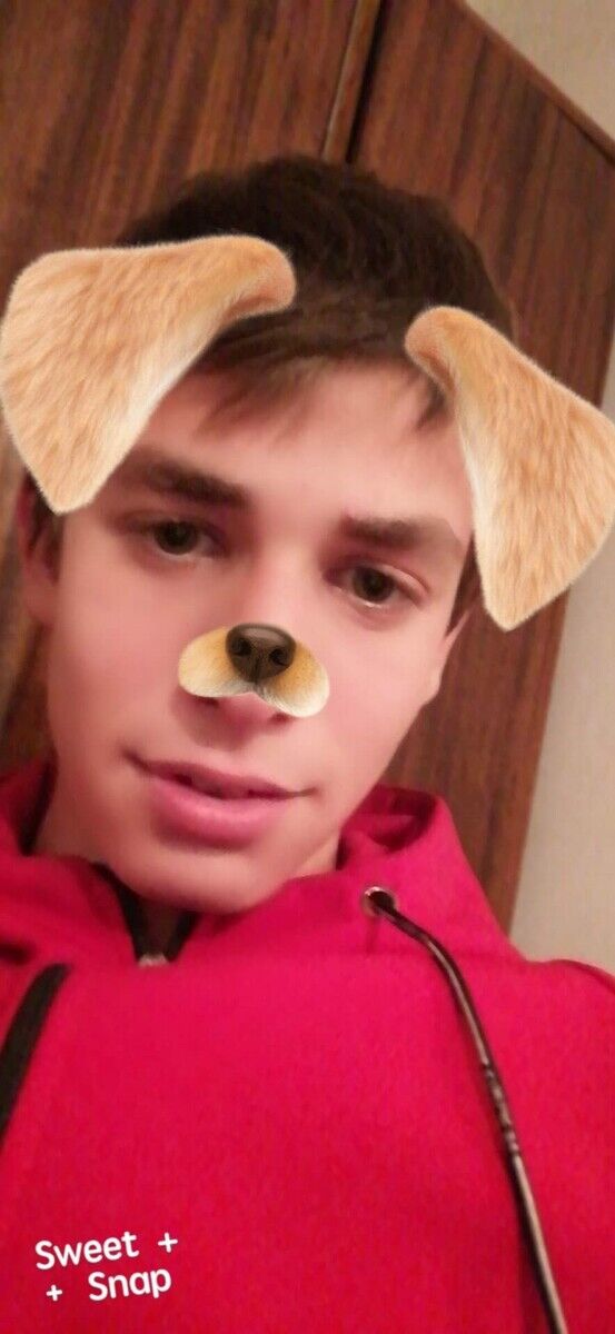 ���� 22116689 ����� ����, 24 ����, ���� ���������� � ��������