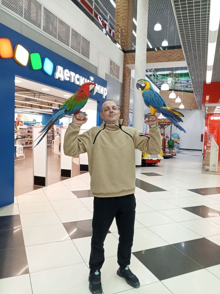 ���� 55312029 ������� �������, 39 ���, ���� ���������� � ������