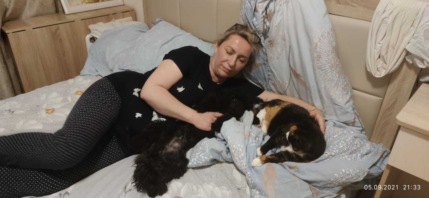 ���� 35701819 ������� �������, 55 ���, ���� ���������� � ������