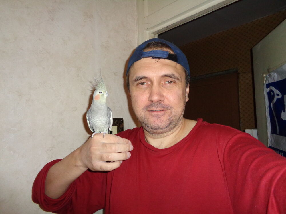  ,   , 52 ,   ,   , c 