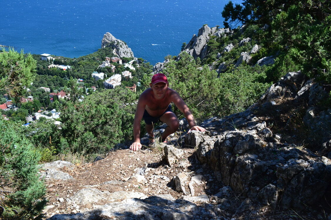 ���� 20660979 ������� �����, 40 ���, ���� ���������� � �������