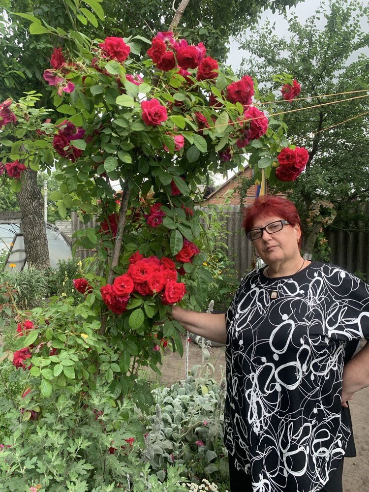 ���� 49017549 ������� ��������, 62 ����, ���� ���������� � ������