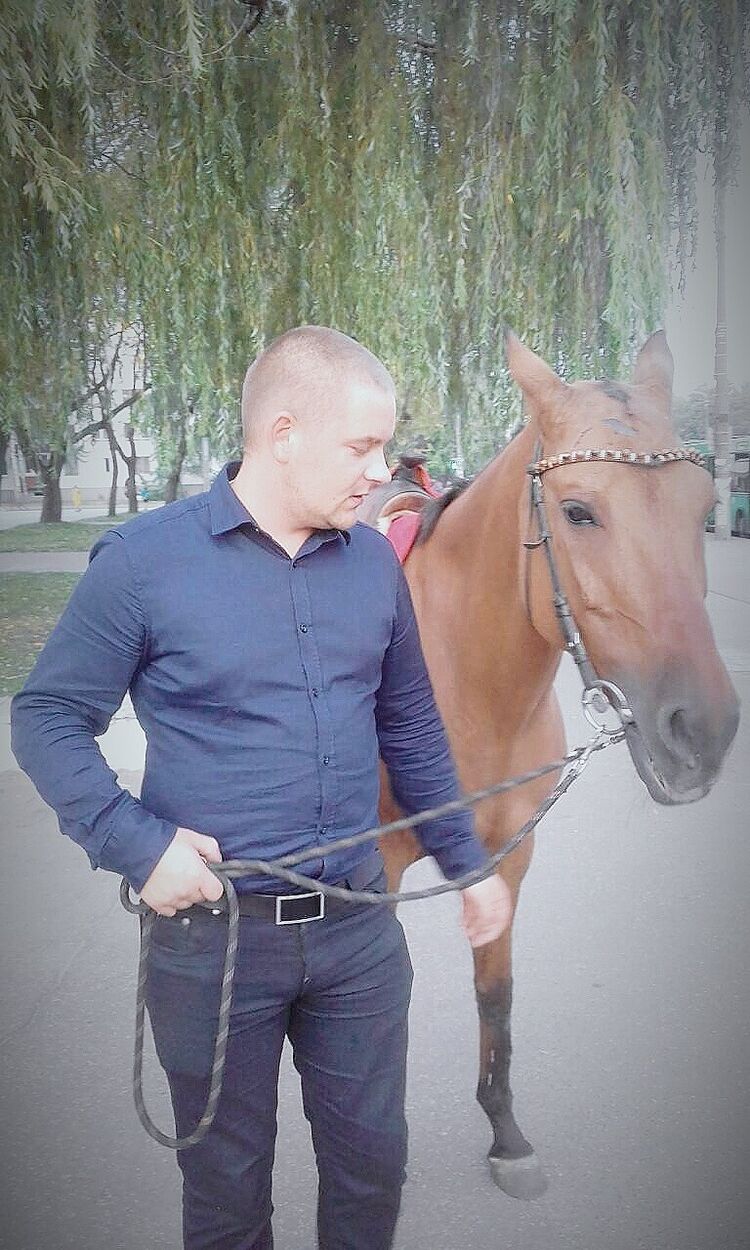 ���������� �����, ���� ������� �����, 32 ����, ������������ ��� ������, ����� � ���������, c�������� ���������, ���������