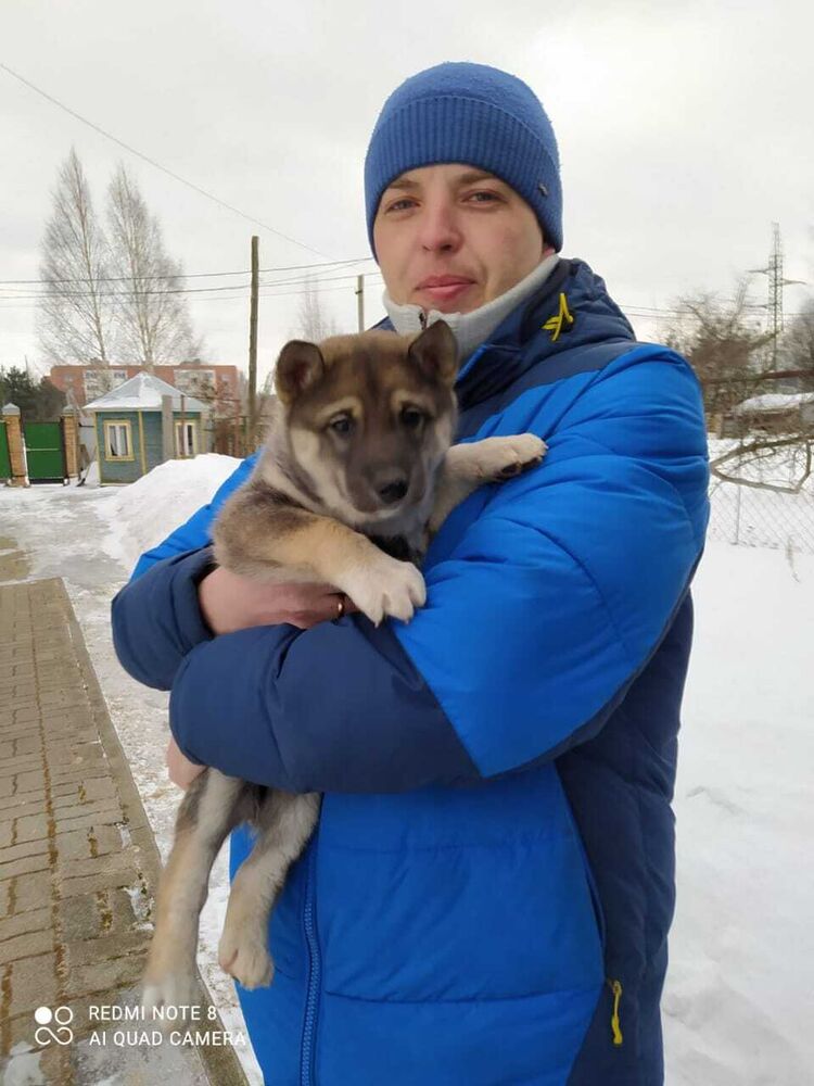 ���� 25592309 ������� �������, 41 ���, ���� ���������� � ���������