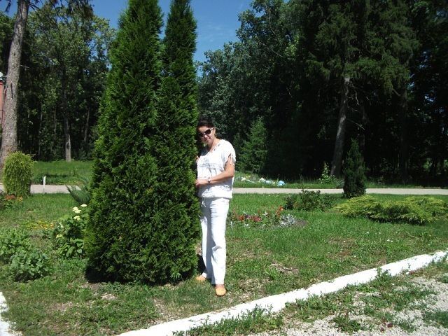 ���� 7143519 ������� �����, 42 ����, ���� ���������� � ������