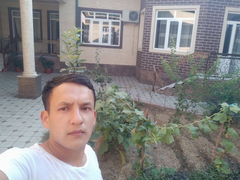  24490989  , 31 ,    
