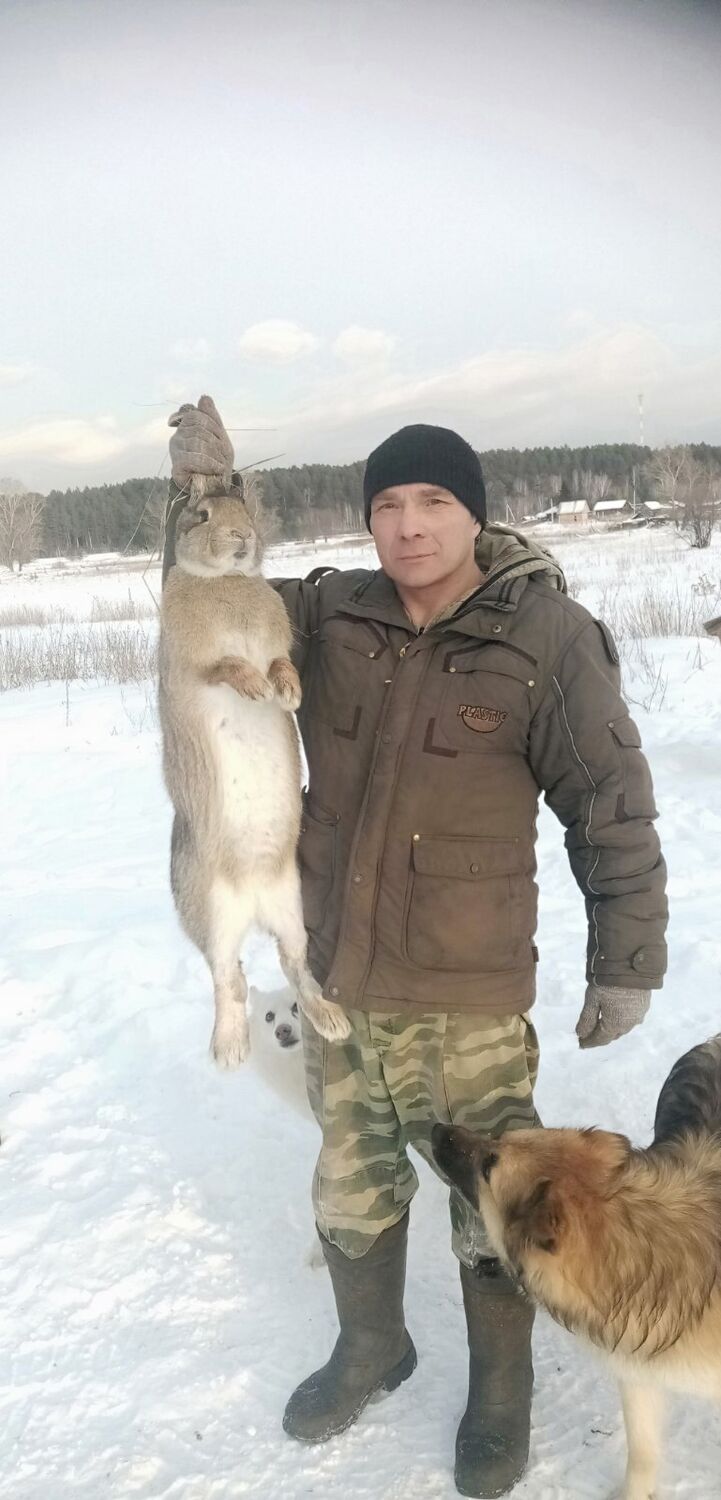  ,   , 49 ,   ,   
