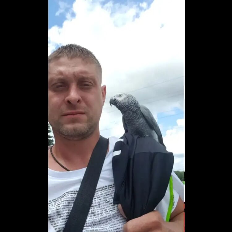 ���� 55632739 ������� Alex, 41 ���, ���� ���������� � Duisburg