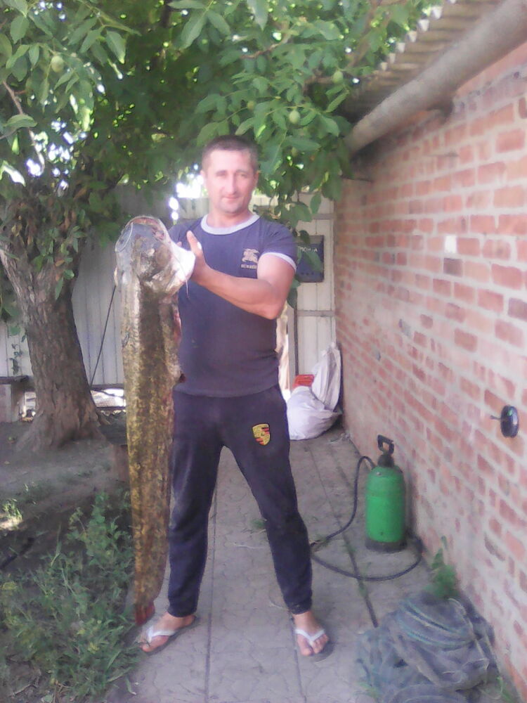 ���� 31872779 ������� ������, 49 ���, ���� ���������� � �������-��-����