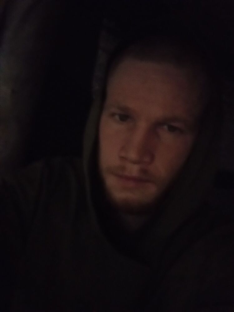  42955439  , 31 ,    