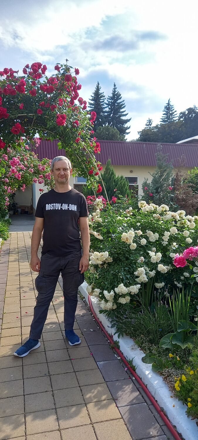  31502399  , 44 ,    --