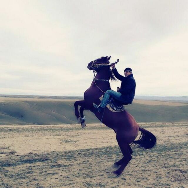 ���������� ������, ���� ������� Qurbonboy, 29 ���, ������������ ��� ������, ����� � ���������