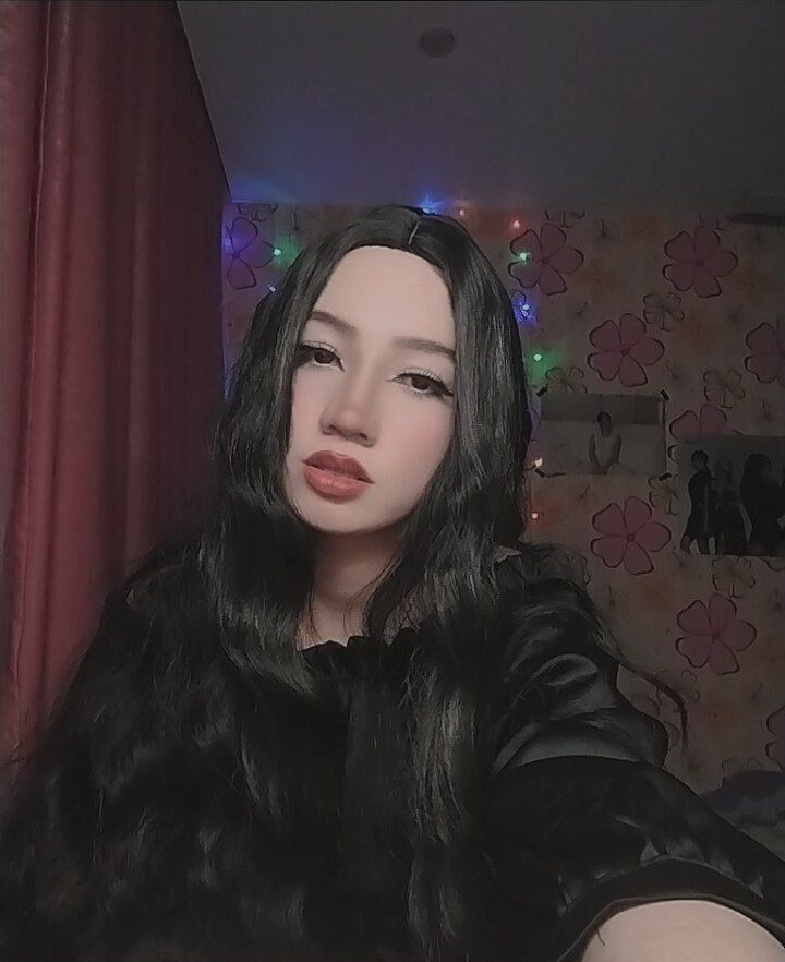  54158499  , 20 ,    -