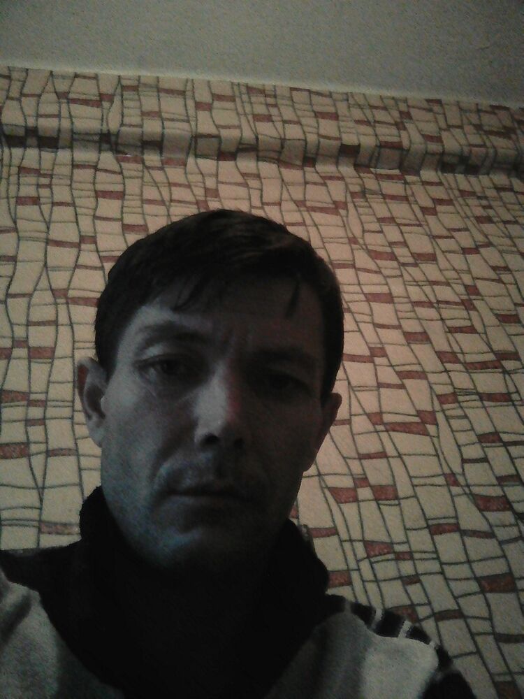  -,   , 44 ,  