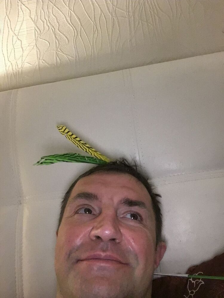  31761819  , 54 ,    -