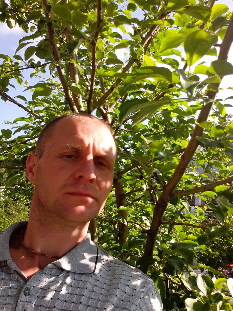 ���� 9019049 ������� ����, 47 ���, ���� ���������� � ��������