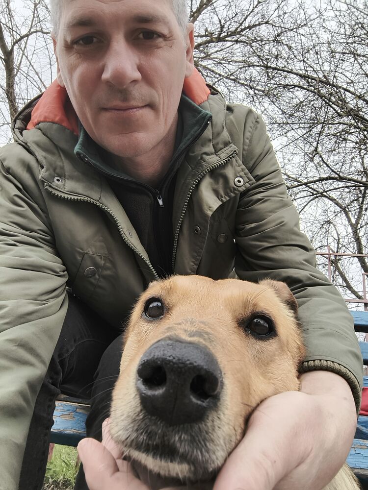 ���� 55662799 ������� �������, 49 ���, ���� ���������� � ����������