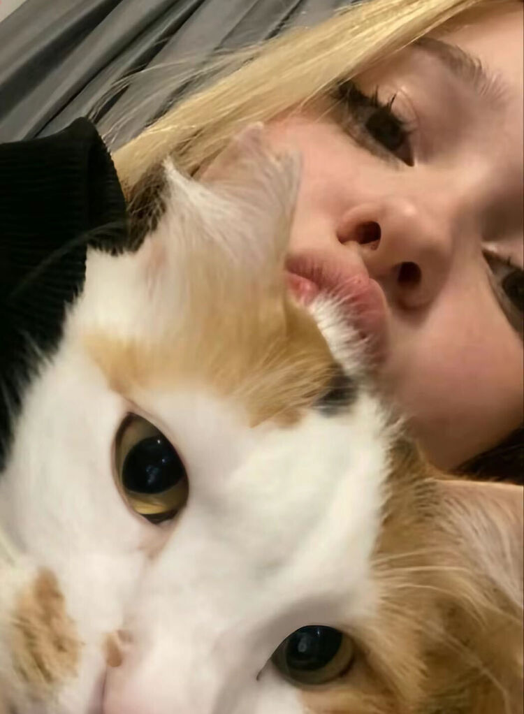 ���� 52310209 ������� ����, 23 ����, ���� ���������� � ������