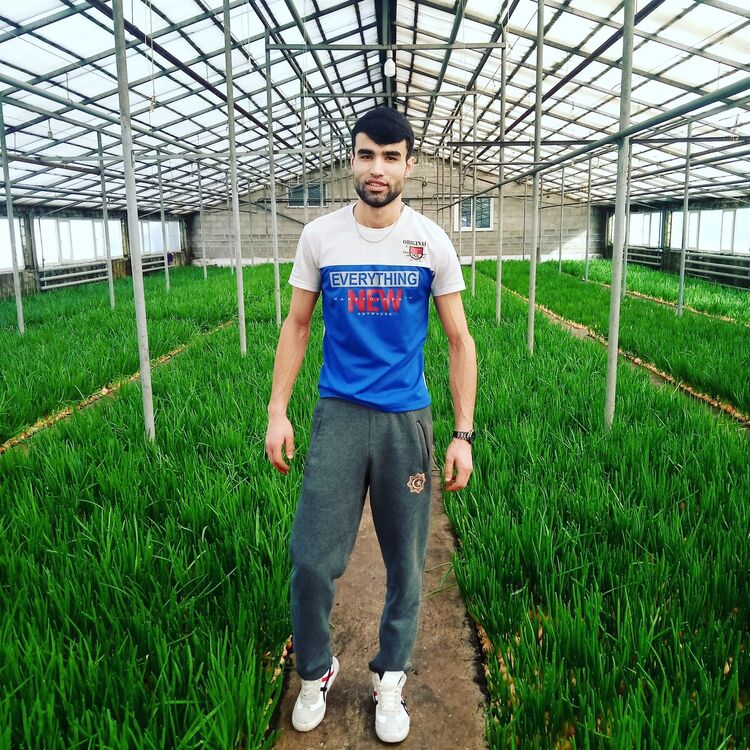 ���� 22504049 ������� ����, 29 ���, ���� ���������� � �����������