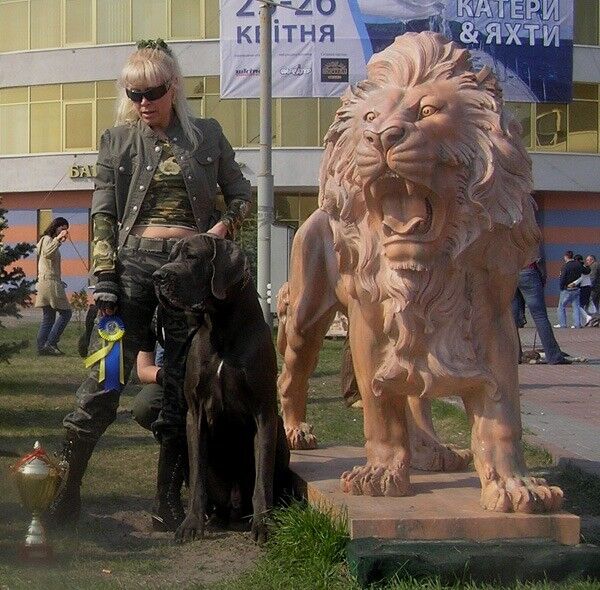 ���������� ����, ���� ������� Nana, 56 ���, ������������ 