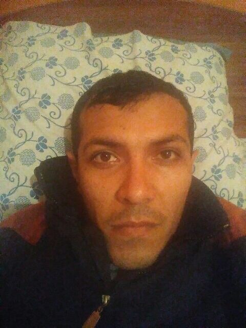  18039629  Xywnnyd, 40 ,    
