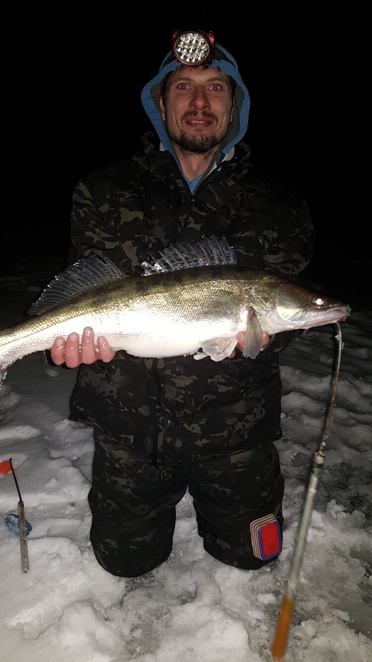 ���� 25248849 ������� ���������, 40 ���, ���� ���������� � ������