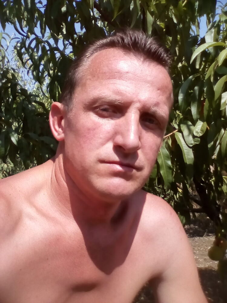 ���������� �����������, ���� ������� �������, 43 ����, ������������ 