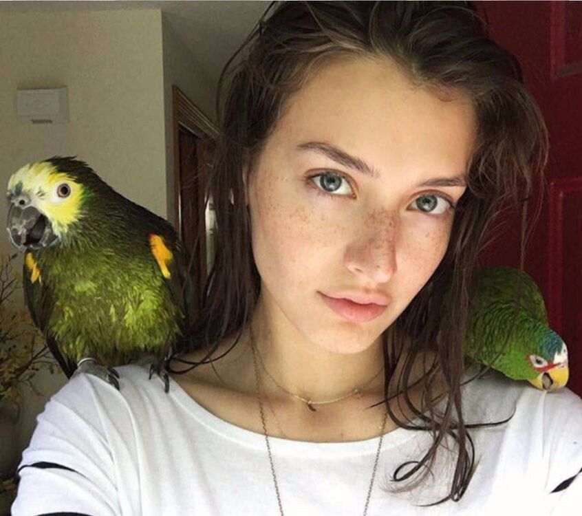 ���������� ��������������, ���� ������� ����������, 35 ���, ������������ ��� ������, ����� � ���������, c�������� ���������