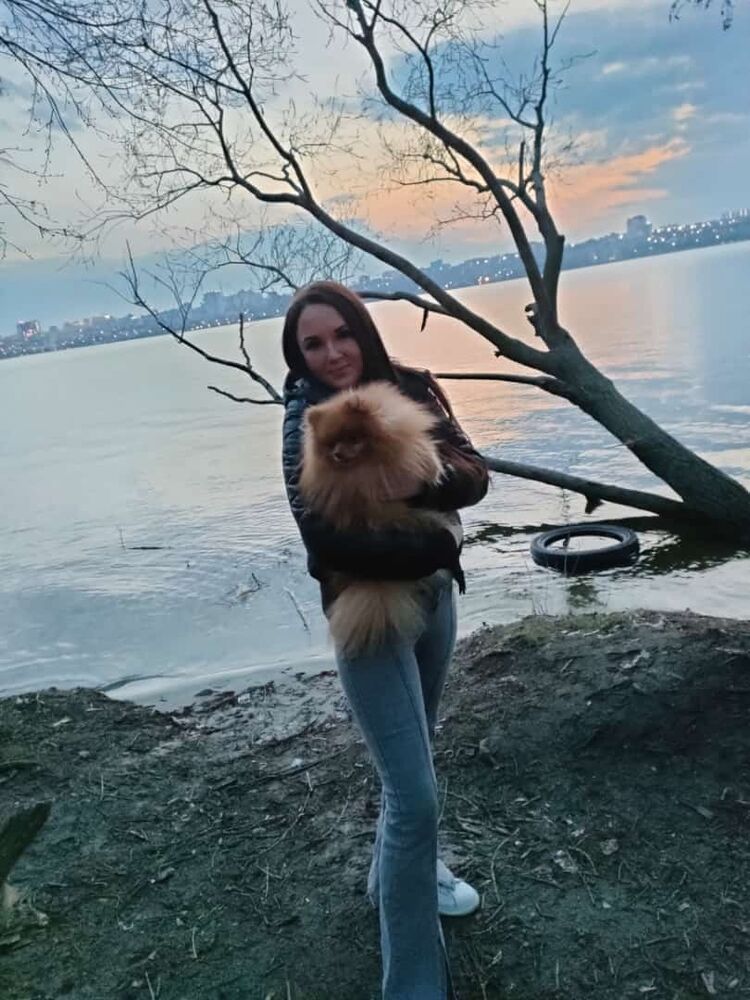 ���� 41803879 ������� ����, 34 ����, ���� ���������� � ��������