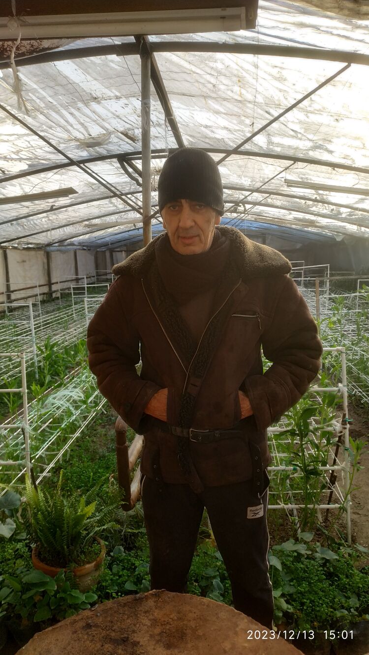 ���� 40646849 ������� ������, 60 ���, ���� ���������� � ��������