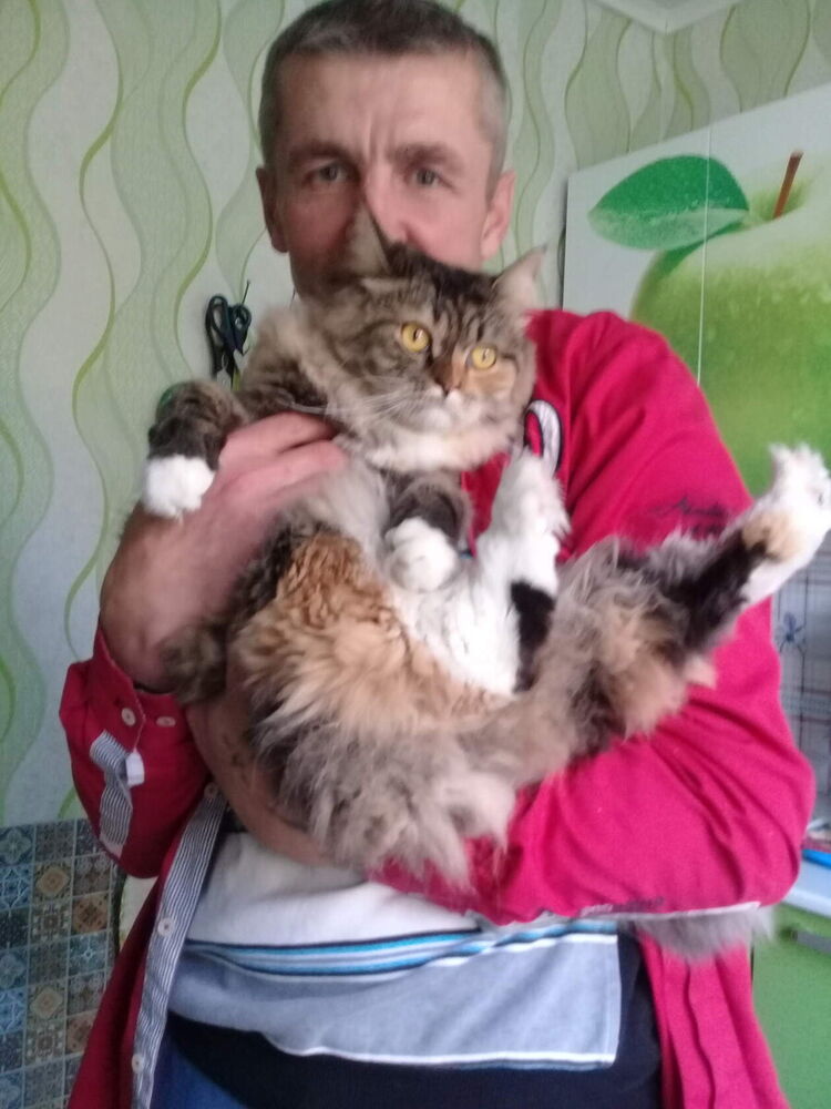 ���������� ��������, ���� ������� ����, 50 ���, ������������ ��� ������, ����� � ���������, c�������� ���������